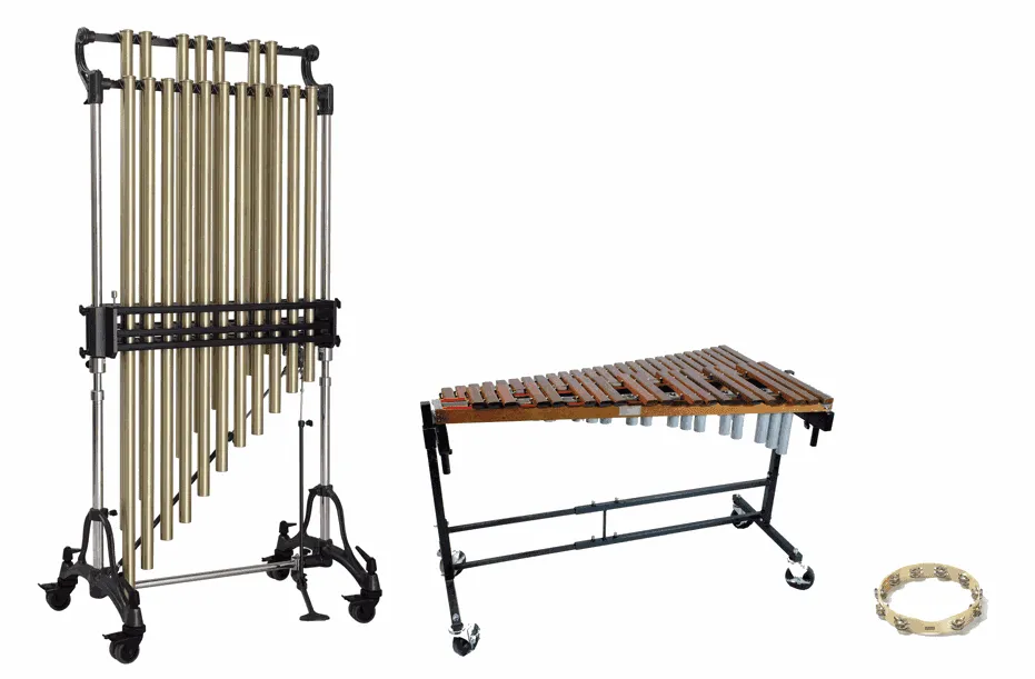 Les instruments idiophones