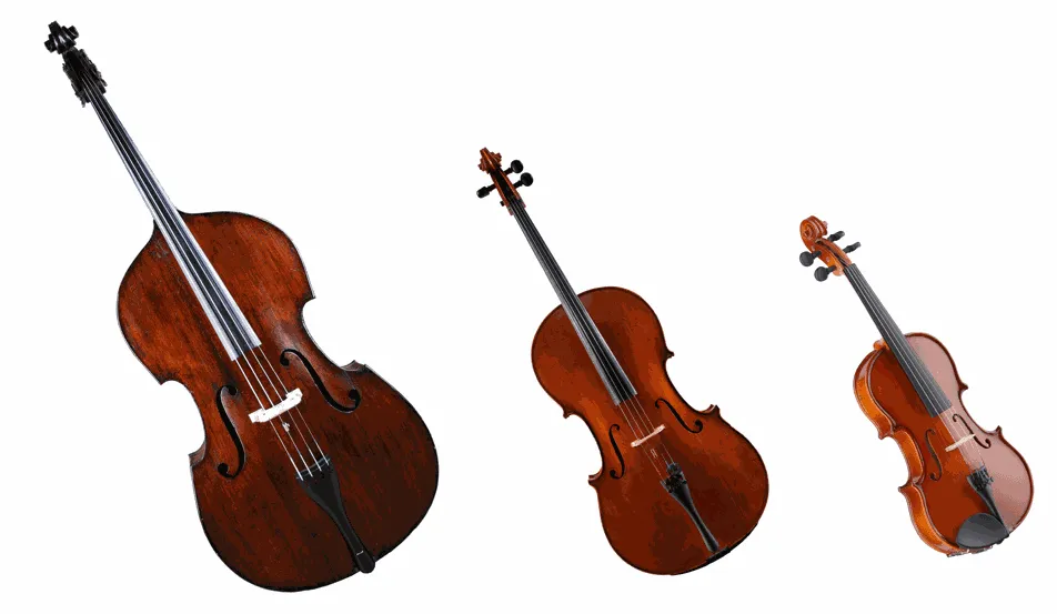 La famille d'instruments des cordes frottées