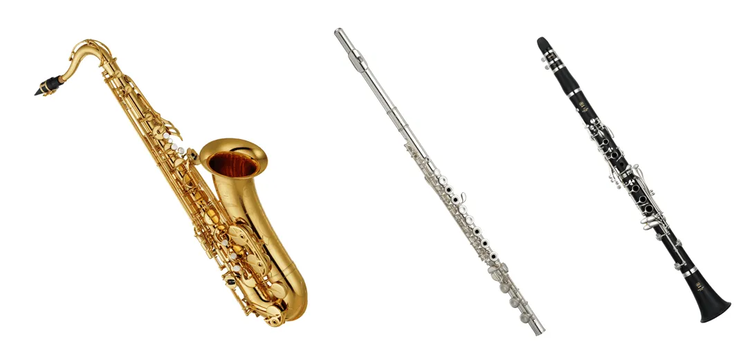 La famille des bois : Le saxophone, la flûte traversière et la clarinette